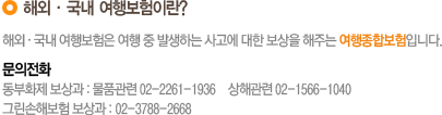 해외 국내 여행보험이란?