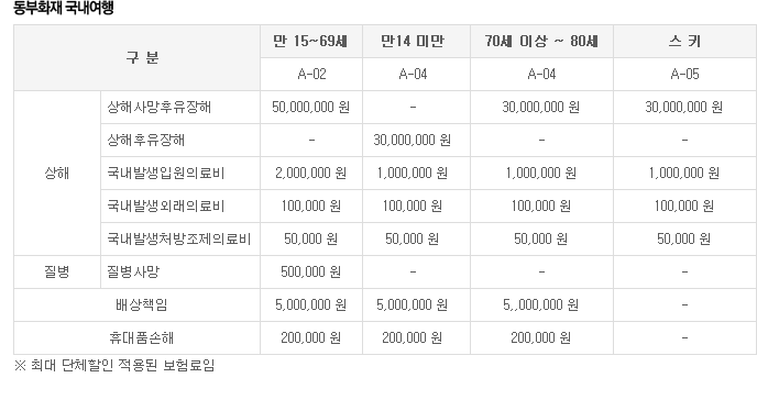 동부화재 국내여행